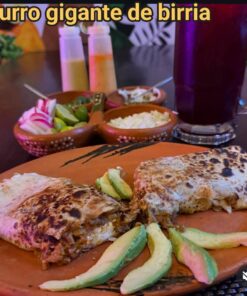 BURRO GIGANTE DE BIRRIA