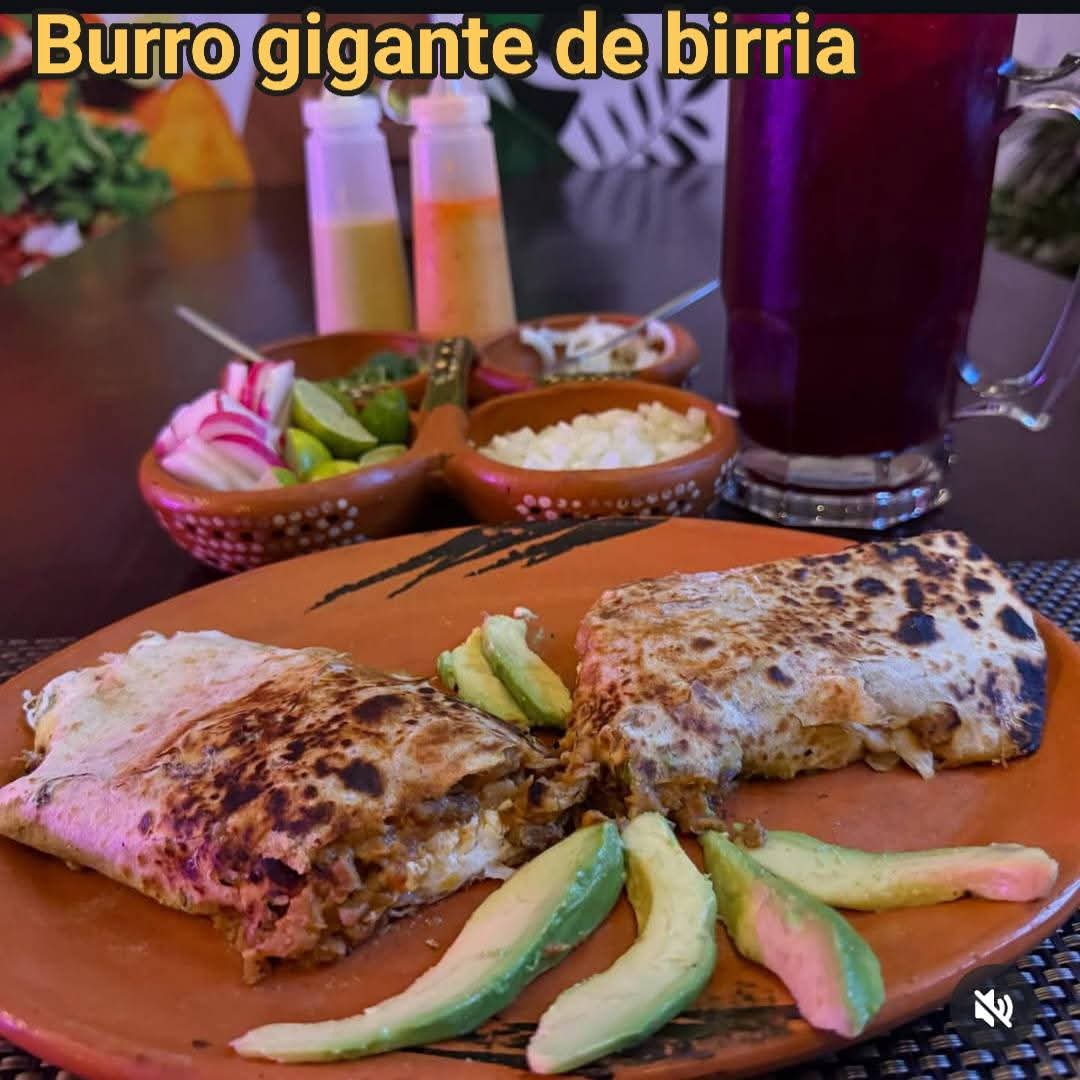 BURRO GIGANTE DE BIRRIA